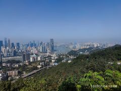 -南山植物园