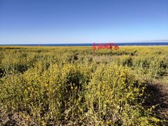 -青海湖国家重点风景名胜区