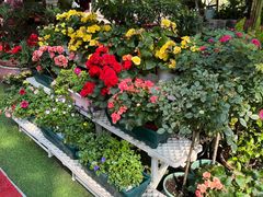 -山水茶艺馆·点心粤菜·30年老字号