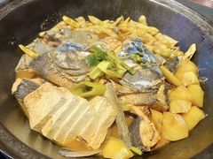 -肥鱼屯活鱼锅(惠工街店)