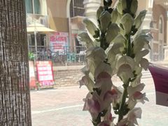 -沿途四季·云南菜·诗酒茶(蓝色港湾店)