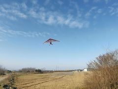 -金谷域澳洲庄园