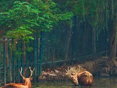 -溱湖国家湿地公园