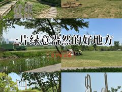 -长田漾湿地公园