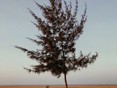 -白沙门生态公园