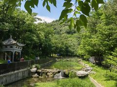 -白水寺森林公园