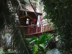 -呀路古热带植物园