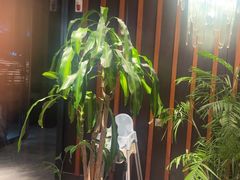 -风渡嘉荷西餐厅 Windy City(西三旗金隅店)