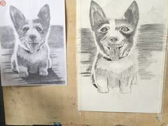 -黑骏画室·深圳美术中高考黄埔军校
