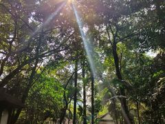 -广州兰圃