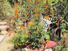 -鱼乐岛餐厅·户外花园主题餐厅