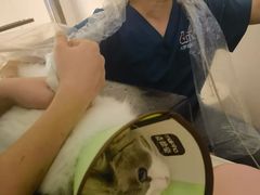 -御宝贝·A梦猫科宠物医院(国际猫友好医院)