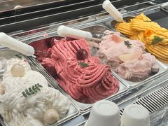 -朱迪小铺.半糖奶油蛋糕(海汇港店)