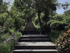 -巢湖姥山岛