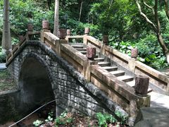 -火炉山森林公园
