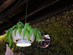 -天山醉美辣子鸡(文艺路店)