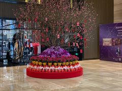 -珠海中海雅高铂尔曼酒店