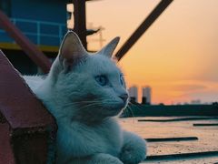 -汉江湾体育公园
