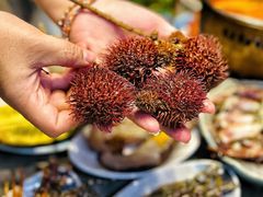 -亚马逊蒸汽活海鲜自助(LCM置汇旭辉广场店)