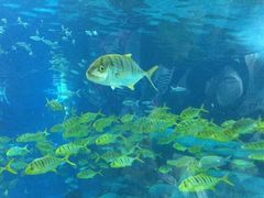 -福州罗源湾海洋世界旅游区