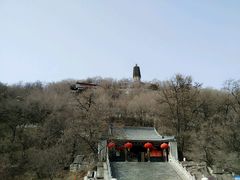 -高尔山公园