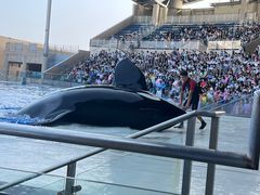 -上海海昌海洋公园