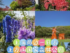 -苏州上方山国家森林公园