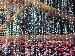 -横店影视城梦幻谷园区