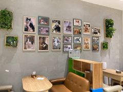 -藏猫猫咖啡主题馆(中央大道店)