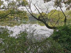 -西湖游船