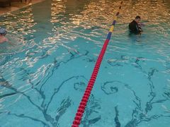 -小海豚国际游泳培训中心(浦东源深体育中心店)