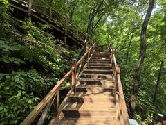 -大岭沟猕猴桃谷风景区