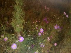 android_upload_pic-东港音乐喷泉广场