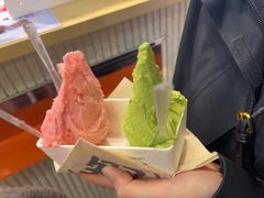 -野人先生现做冰淇淋(西安赛格店)