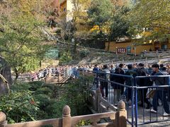 -九华山聚龙大酒店