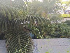 -稷泽·海丽宾雅温泉度假酒店