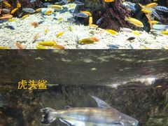 -太平洋海底世界