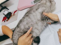 -福州肆爪动物医院