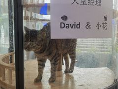 -Cetus coffee鲸鱼座咖啡·拼豆(二仙桥公园店)
