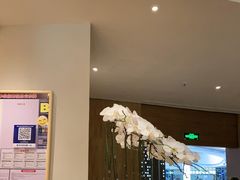 -月龍吟(朝龙汇店)