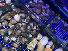 -青蓬蒸汽海鲜·深圳老字号·团建聚会(壹方城店)