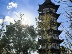 -天寿寺塔院