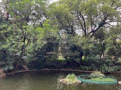 -九龙公园