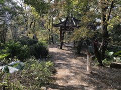 -广州市石门国家森林公园