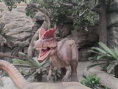 -国家自然博物馆