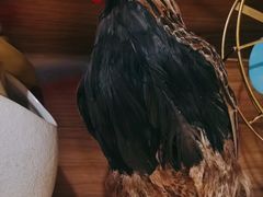 -俭寨大盘鸡·缸子肉·小公鸡·新疆菜(云通店)