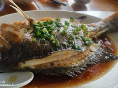 -明记海鲜大排档(巽寮湾店)
