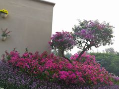 -广州雕塑公园