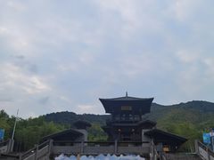 -大唐贡茶院