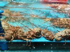 -阿伟海鲜楼·福建菜(延寿店)